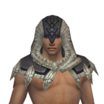 Dervish Norn Hood m gray front.png