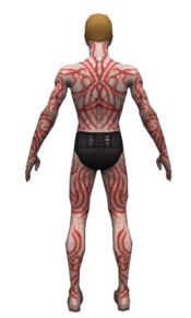 Necromancer Scar Pattern armor m dyed back.jpg