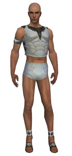 Paragon Istani armor m gray front chest feet.png