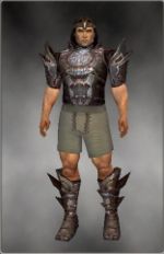 Warrior Monument armor m gray front chest feet.jpg