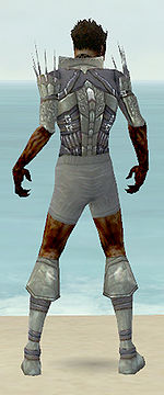 Necromancer Cabal armor m gray back chest feet.jpg