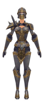 Warrior Platemail armor f dyed front.jpg