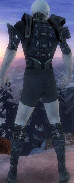 File:Necromancer Elite Cultist armor m gray back chest feet.jpg