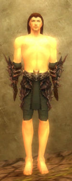 Ranger Ancient armor m gray front arms legs.jpg