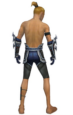 Assassin Norn armor m gray back arms legs.png