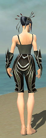Necromancer Elite Sunspear armor f gray back arms legs.jpg