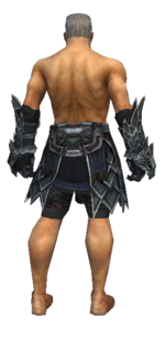 Warrior Silver Eagle armor m gray back arms legs.png