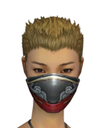 Assassin Monument Mask f gray front.png