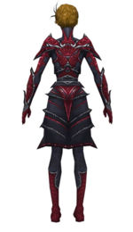 Necromancer Elite Necrotic armor f dyed back.jpg