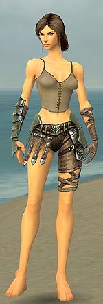 Warrior Elite Gladiator armor f gray front arms legs.jpg