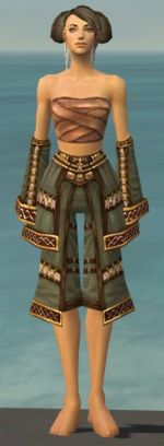 Monk Elite Kurzick armor f gray front arms legs.jpg