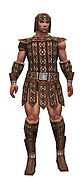 Warrior Ascalon armor m.jpg