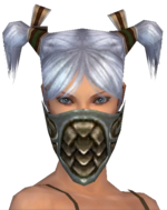 Ranger Elite Canthan Mask f gray front.png