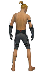 Assassin Canthan armor m gray back arms legs.png