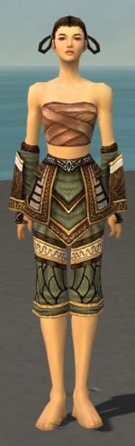 Monk Elite Canthan armor f gray front arms legs.jpg