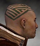 Monk Kurzick armor m gray right head.jpg