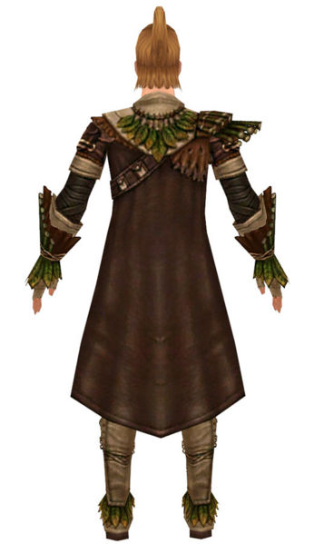 File:Ranger Druid armor m dyed back.jpg