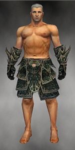 Warrior Elite Luxon armor m gray front arms legs.jpg