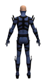 Assassin Obsidian armor m dyed back.jpg