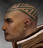 Monk Kurzick armor m gray left head.jpg
