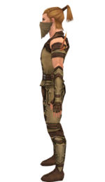 Ranger Ascalon armor m dyed left.jpg
