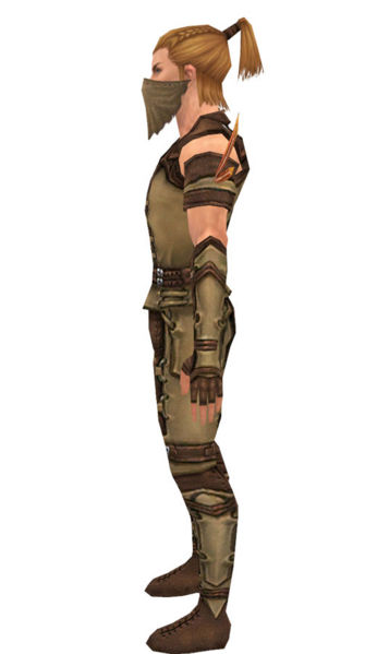 File:Ranger Ascalon armor m dyed left.jpg