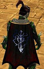 Guild The Wild Thingz cape.jpg