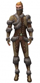 Guild Wars Ranger Armor on Ranger Fur Lined Armor   Guild Wars Wiki  Gww