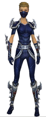 Assassin Norn armor f dyed front.png