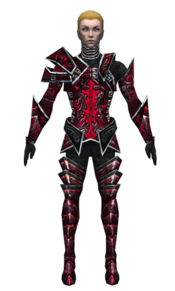 Necromancer Fanatic armor m dyed front.jpg