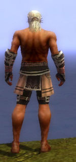 Warrior Ancient armor m gray back arms legs.jpg