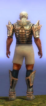 Warrior Elite Sunspear armor m gray back chest feet.jpg