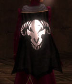 Guild Dark Palanx Odins Erbe cape.jpg
