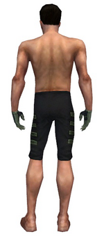 Mesmer Elite Kurzick armor m gray back arms legs.png