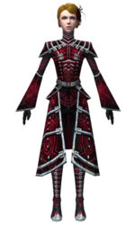 Necromancer Fanatic armor f dyed front.jpg
