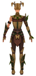Ranger Druid armor f dyed back.jpg