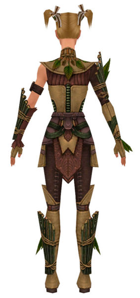 File:Ranger Druid armor f dyed back.jpg
