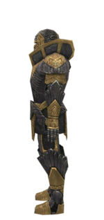 Warrior Elite Platemail armor m dyed left.jpg