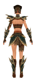 Warrior Luxon armor f dyed back.jpg