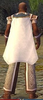 Guild The Obscure Monks cape.jpg