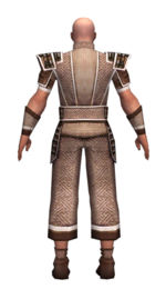 Monk Elite Judge armor m dyed back.jpg