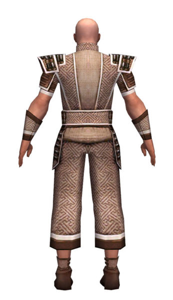 File:Monk Elite Judge armor m dyed back.jpg