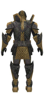Warrior Elite Platemail armor m dyed back.jpg
