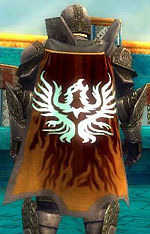 Guild The Chosen Flames cape.jpg