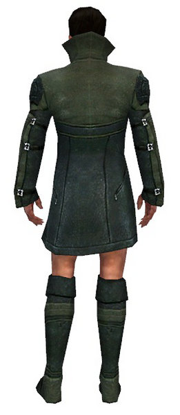 File:Mesmer Kurzick armor m gray back chest feet.png
