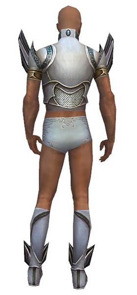 File:Paragon Asuran armor m gray back chest feet.png