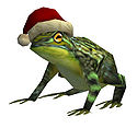 The Frog Wintersday.jpg