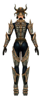 Warrior Elite Sunspear armor f dyed back.jpg