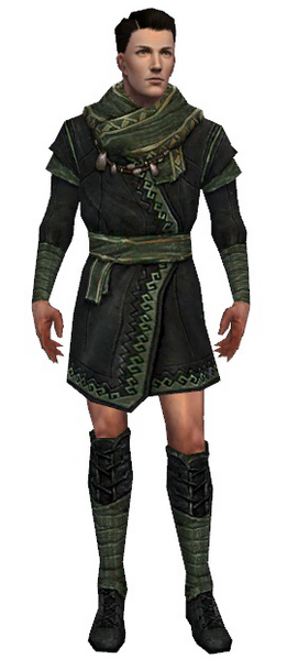 File:Mesmer Luxon armor m gray front chest feet.png