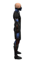 Assassin Ancient armor m dyed right.jpg